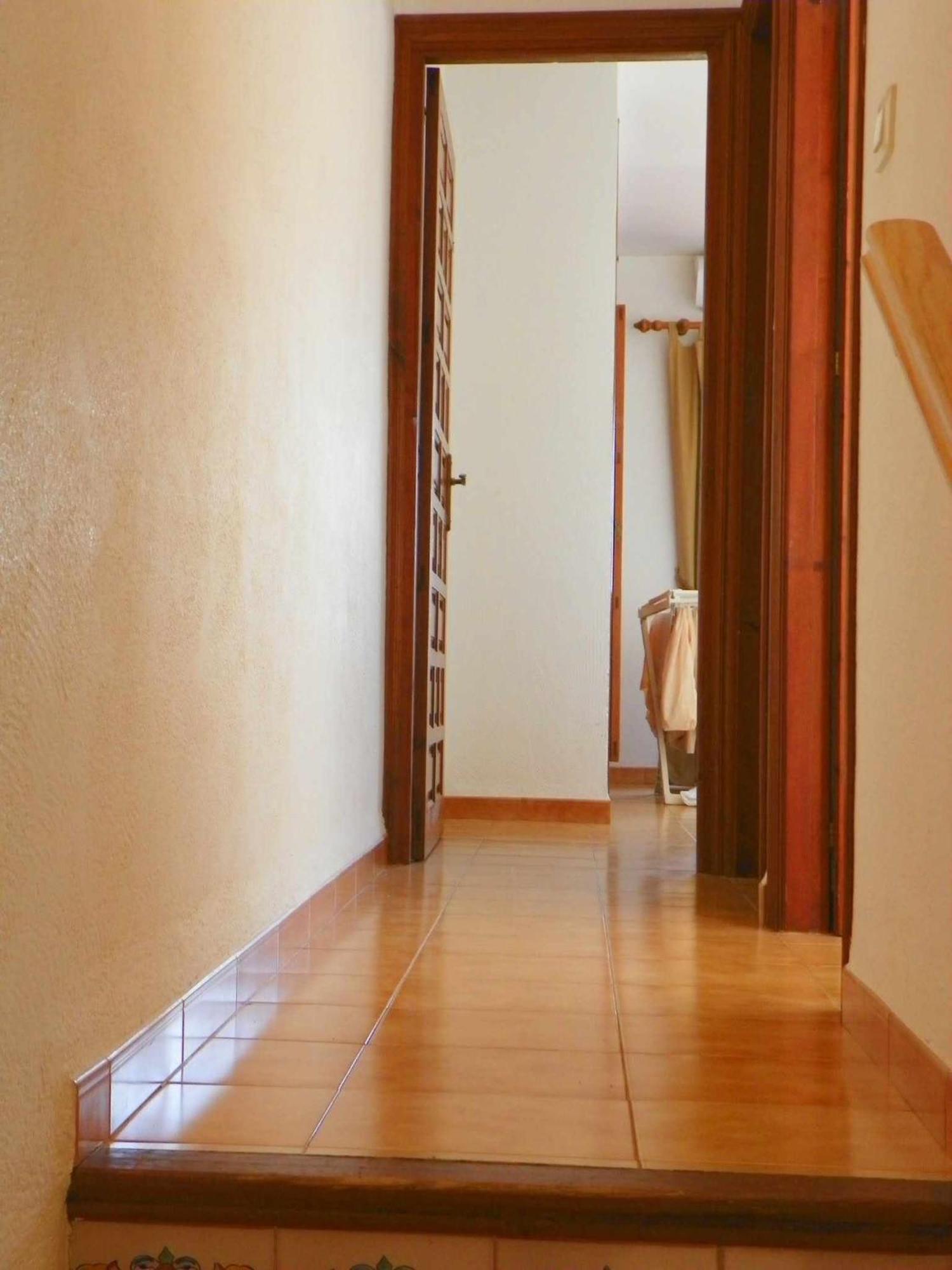 Tropicana Park Fase Iii Tp73 Duplex Apartamento