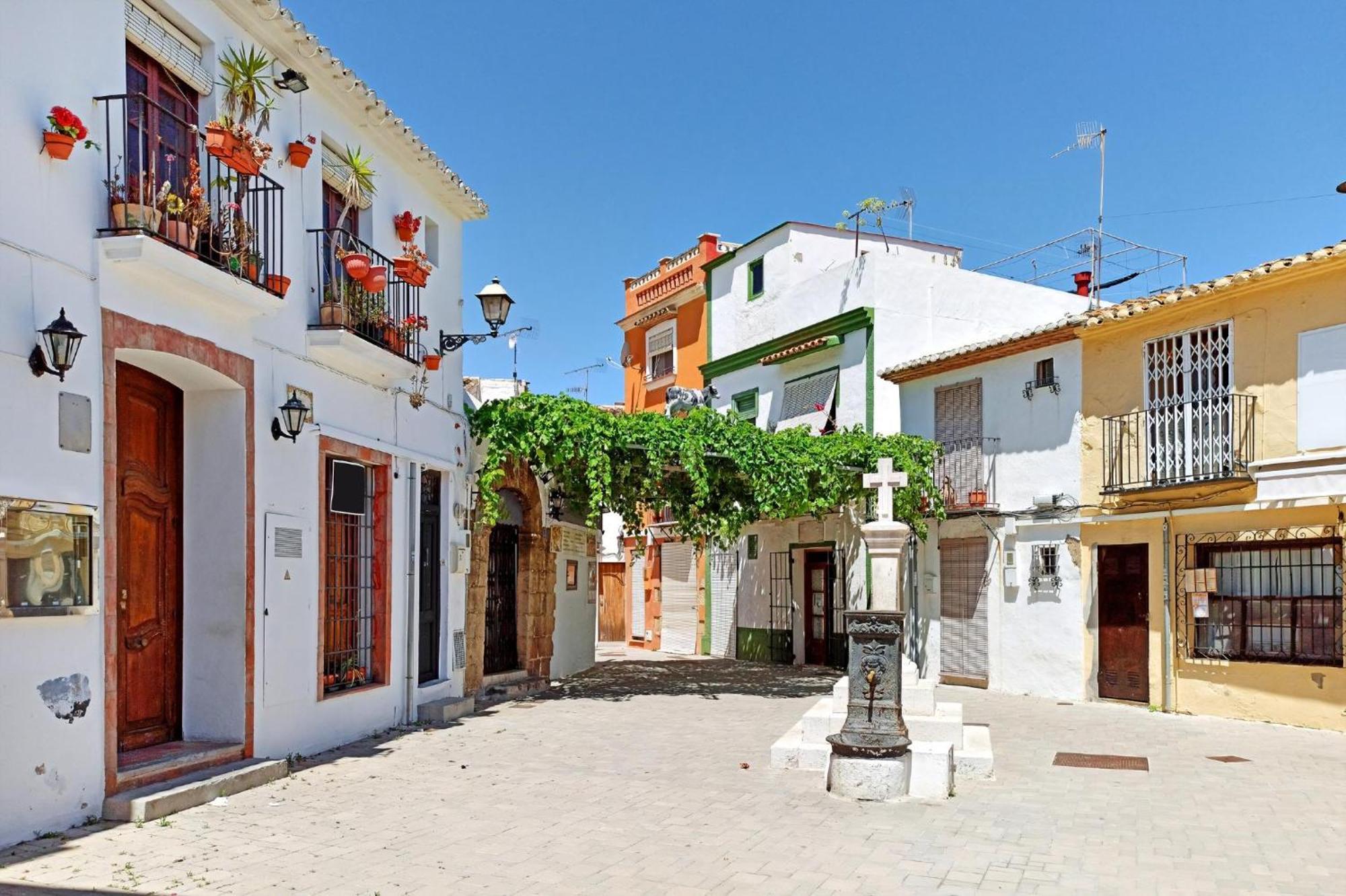 Buganvilla *