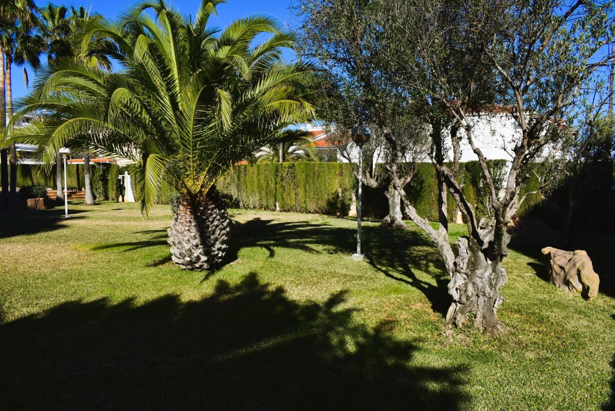 Apartamento Anacasa Estudio Marivent Deveses Es1125