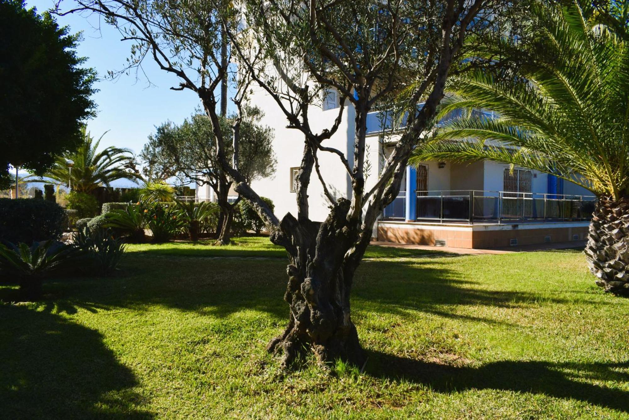Anacasa Estudio Marivent Deveses Es1125 Apartment Denia