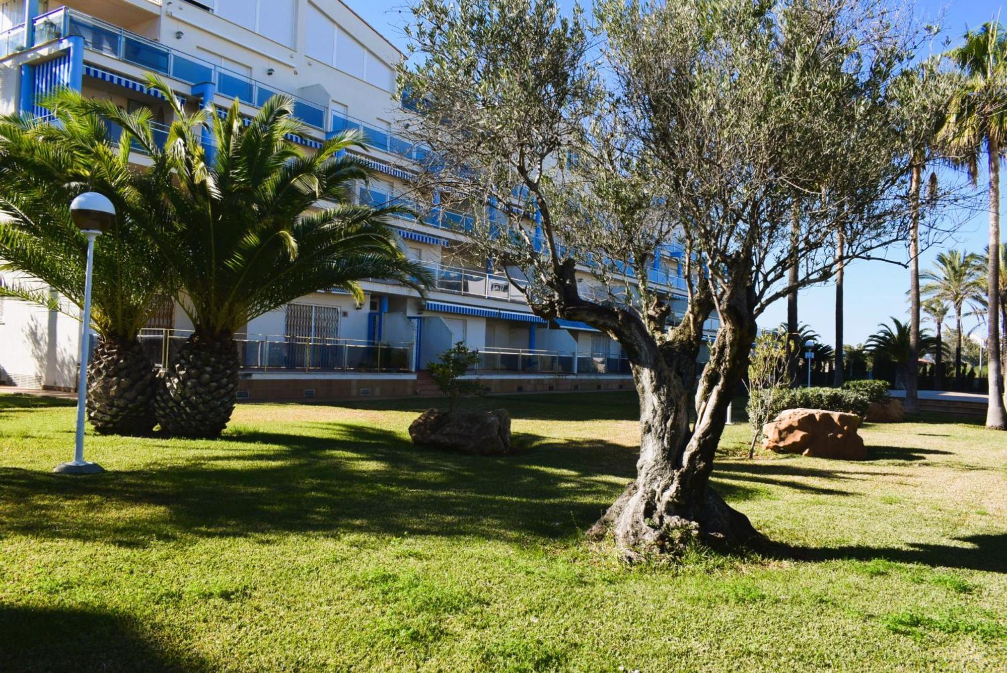 Apartamento Anacasa Estudio Marivent Deveses Es1125 *