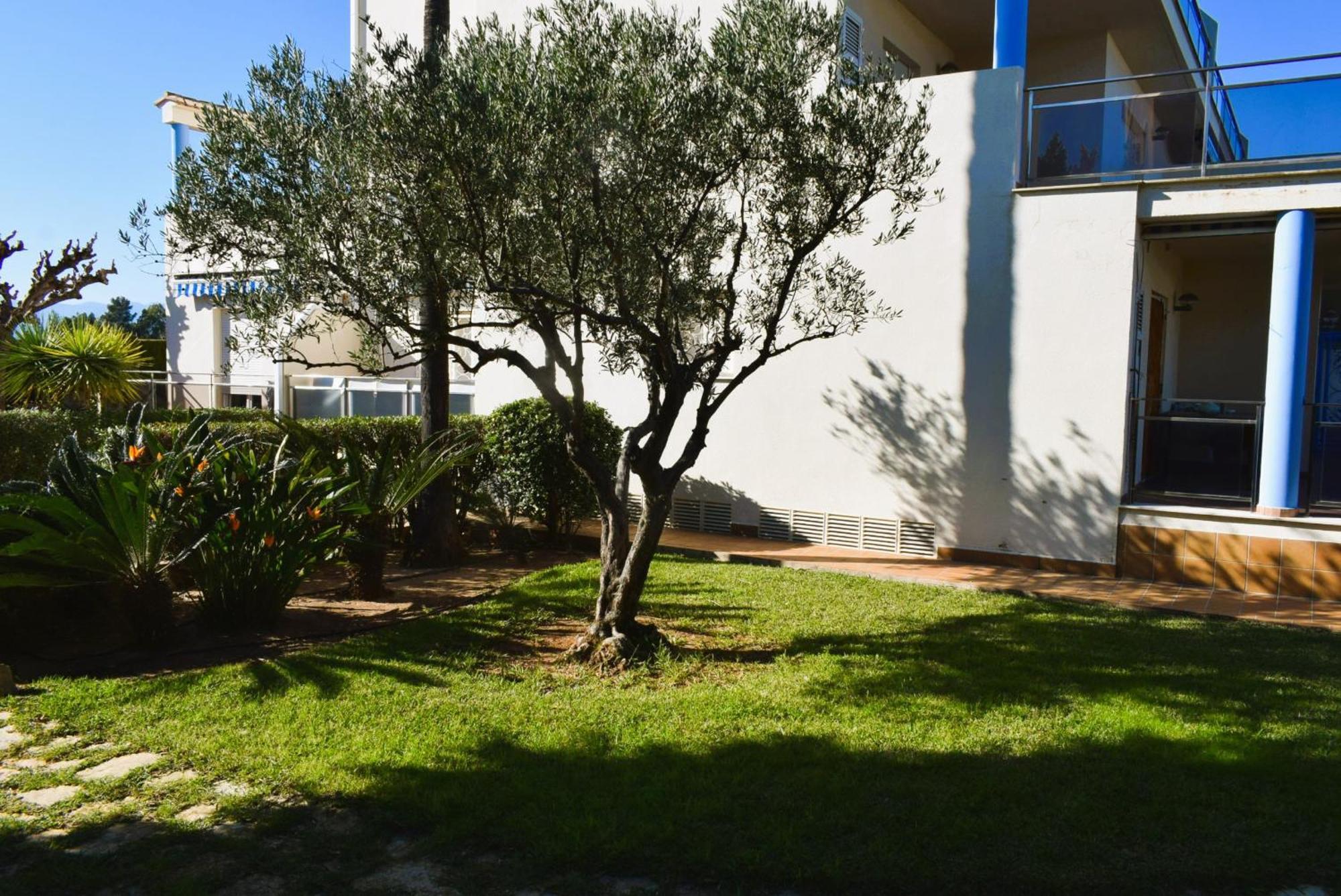 Anacasa Estudio Marivent Deveses Es1125 Apartamento *