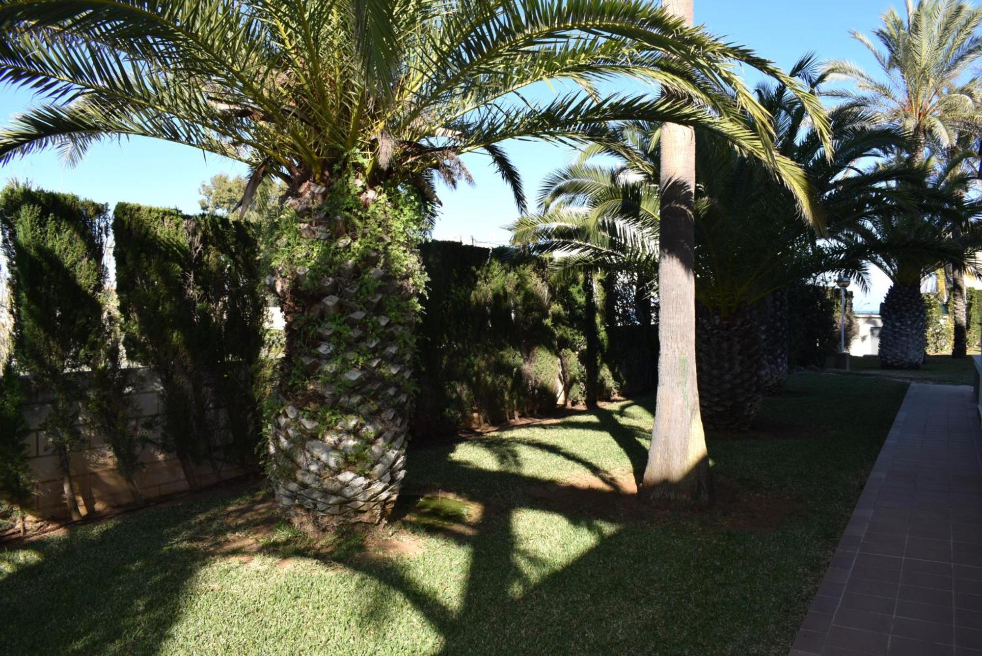 Apartamento Anacasa Estudio Marivent Deveses Es1125 Dénia