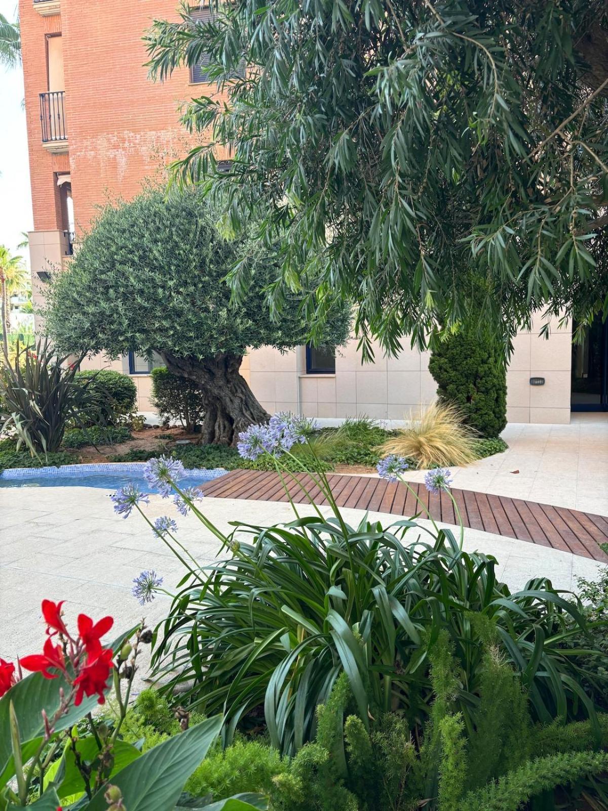 Sol De Apartamento Dénia