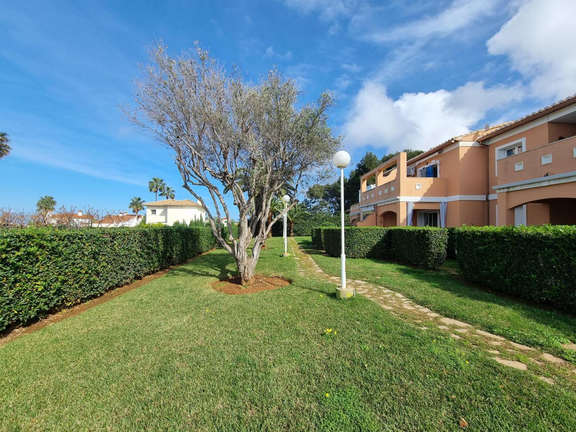 Apartment Con Piscina A Un Paso Del Centro Denia