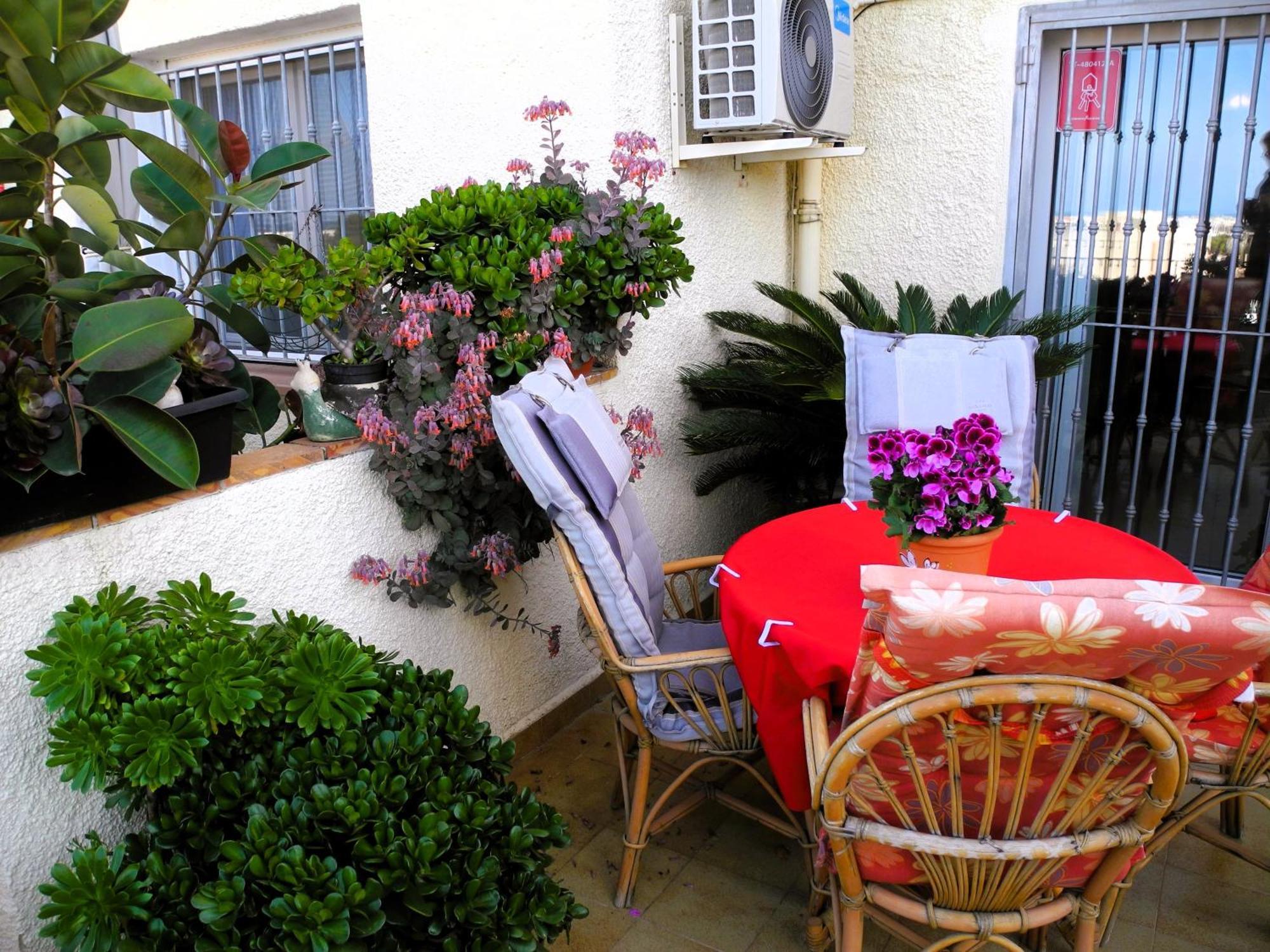 Apartamento Apartemento Monika Monte Pedrera C 4 Aussicht *
