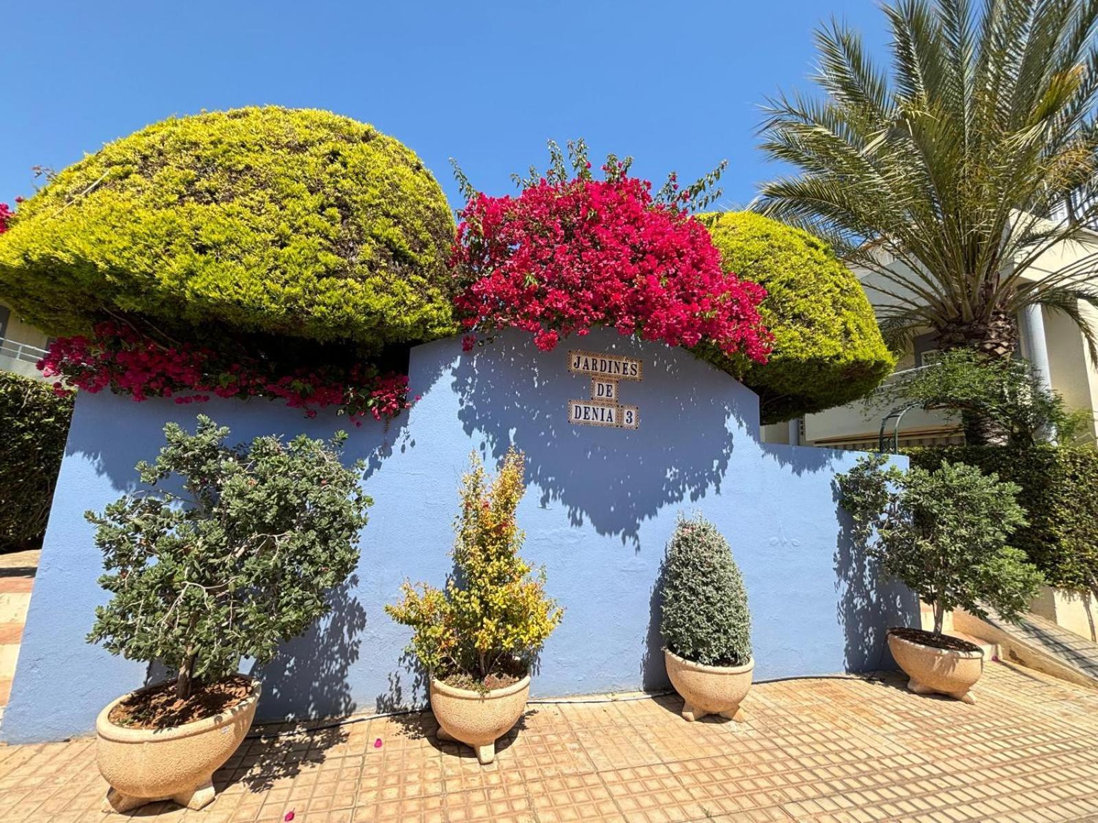 181 Jardines De Dénia
