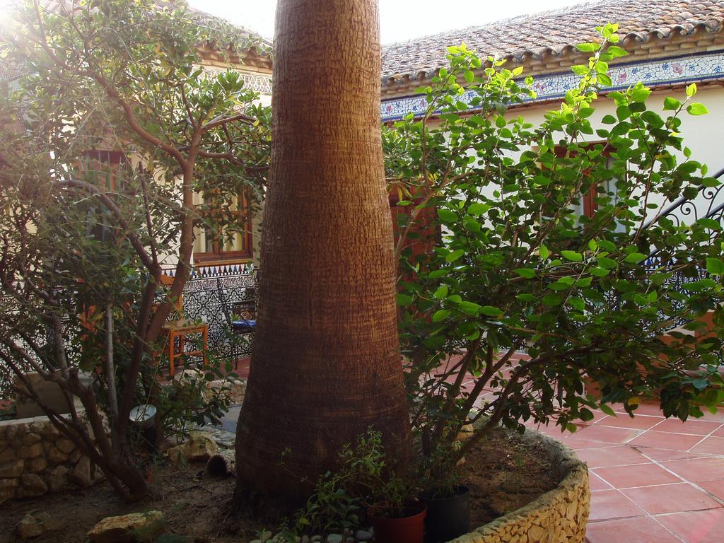 La Casa Del Vidre