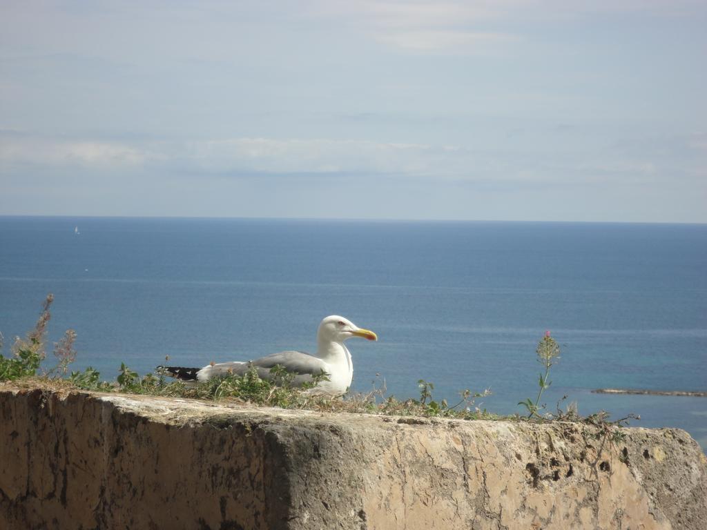 Apartamento Retiro * Denia
