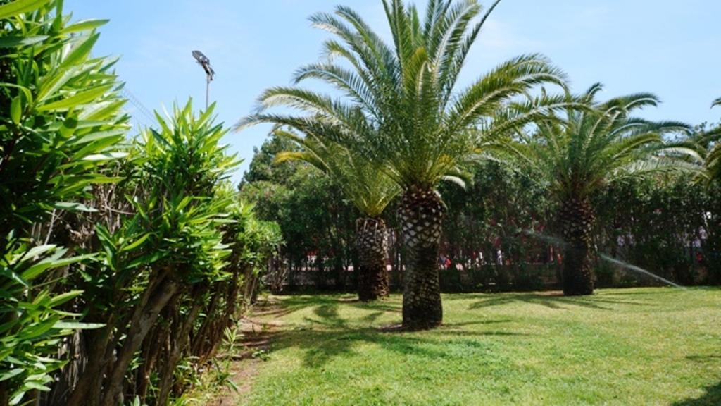 Apartment Patio Andaluz