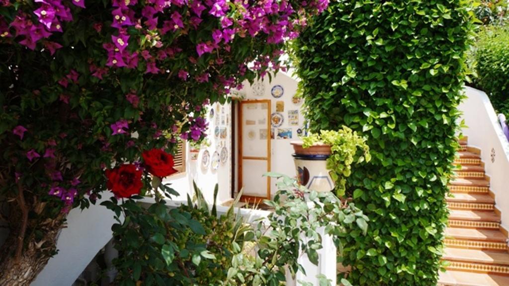 Patio Andaluz Denia