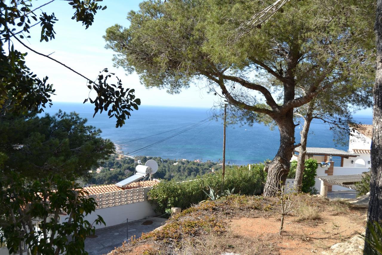Zoro Locdenia * Denia