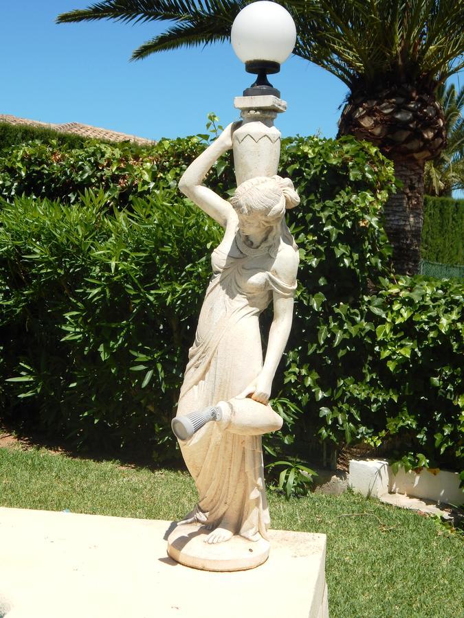 Magnolia Denia