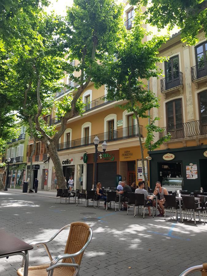 Guest house Colon