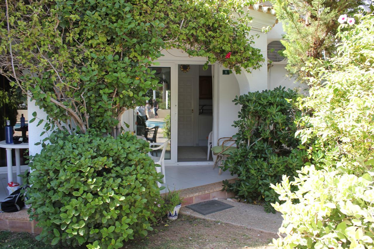Oasis 71