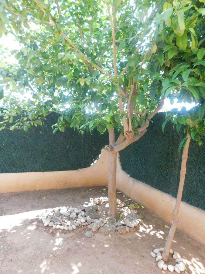Molinos-turistika Apartamento