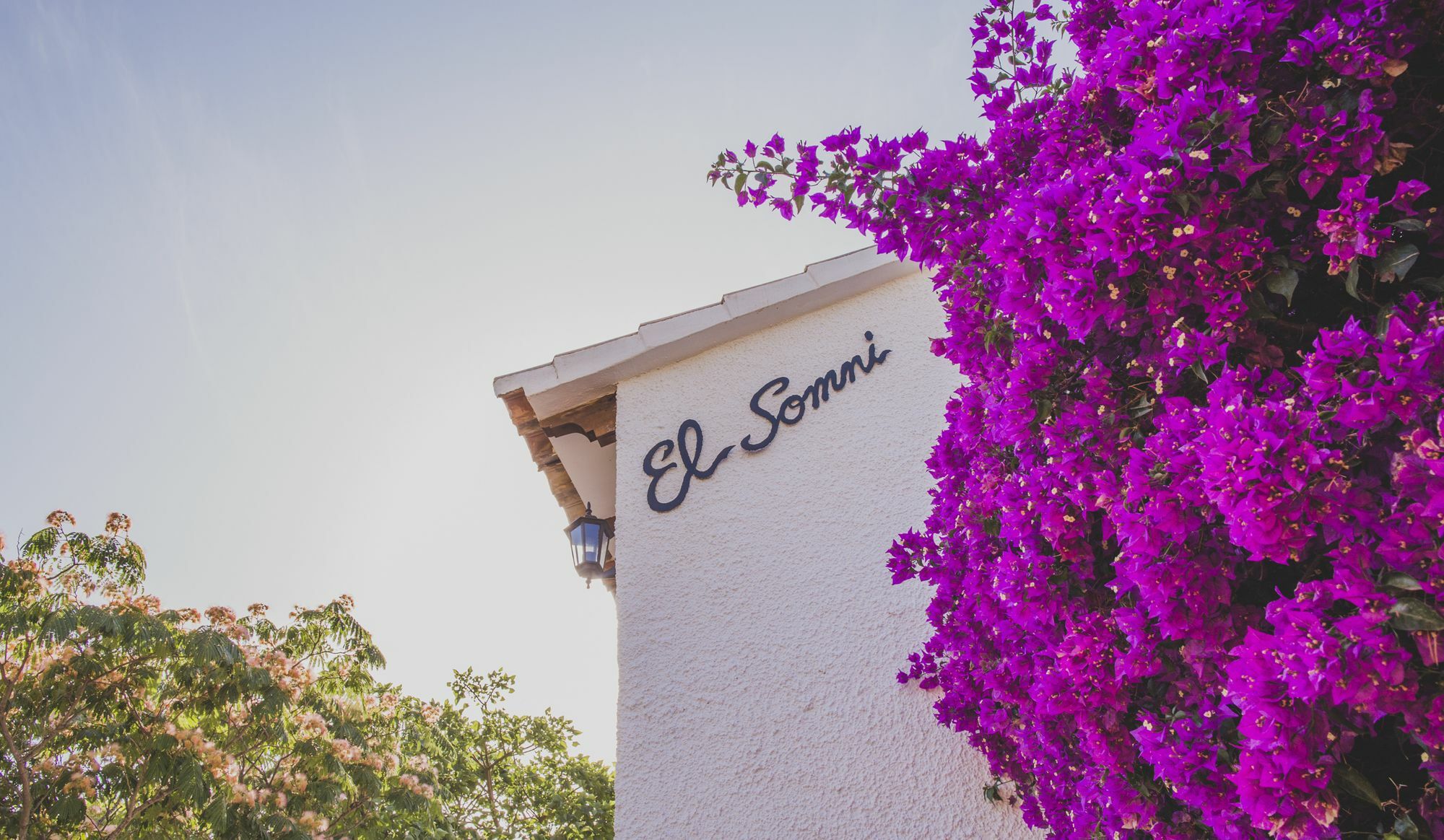 Somni Denia