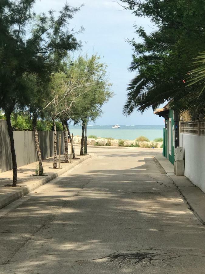 Oasis Paradise * Denia