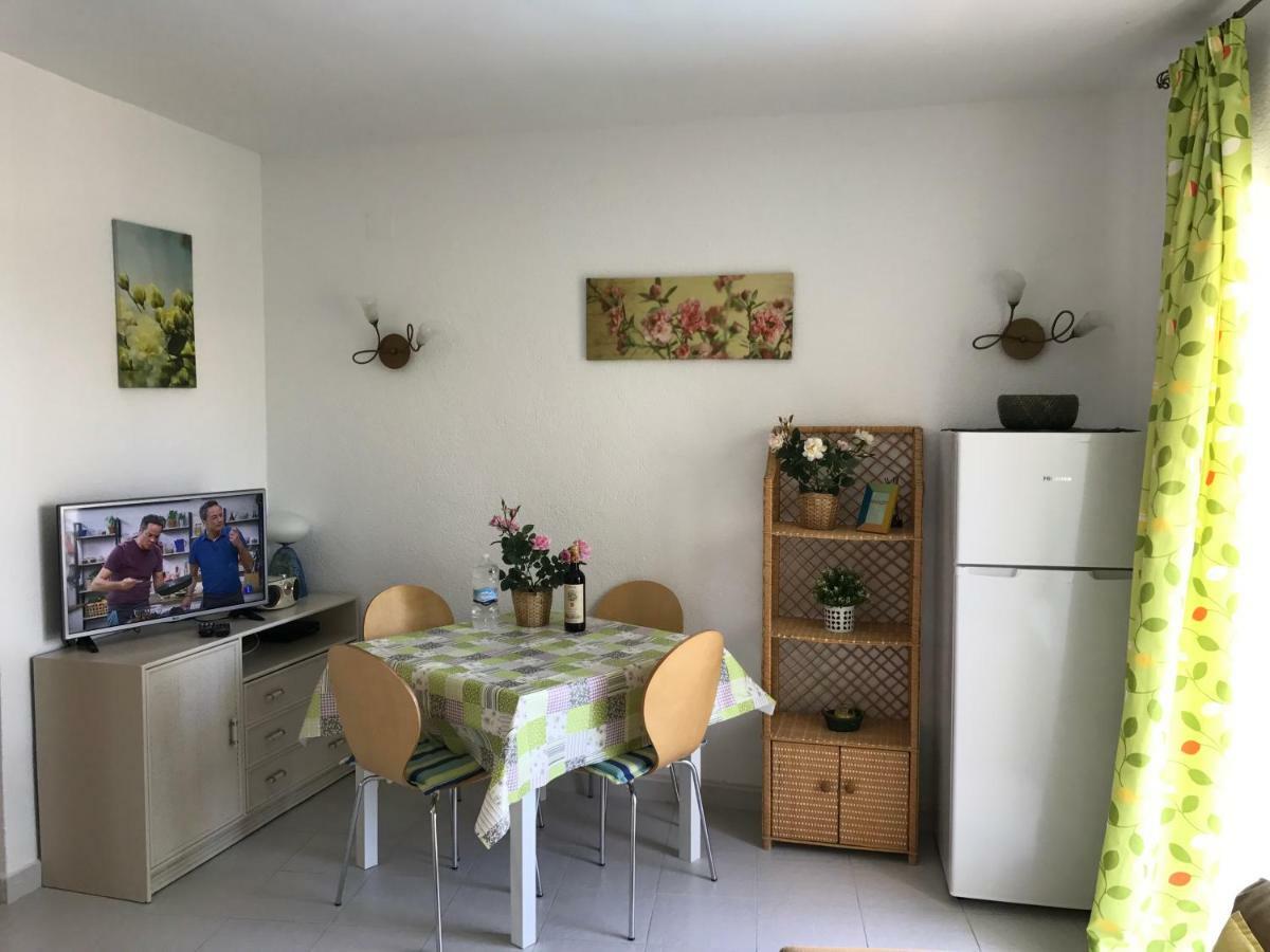 Oasis Paradise Apartment