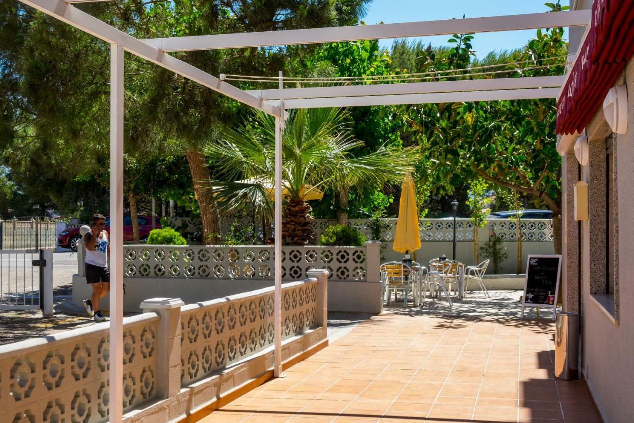 Coral * Denia