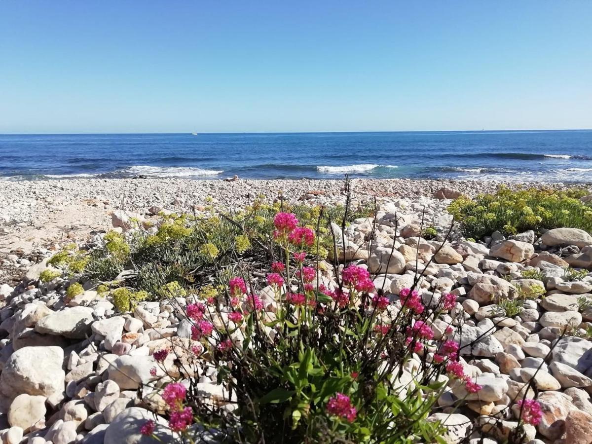Apartamento Playa Montañas Y Mucho Más