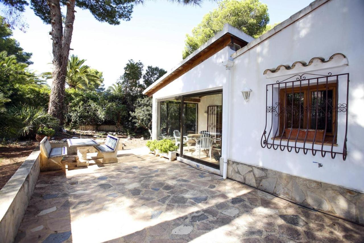 Pinos Denia
