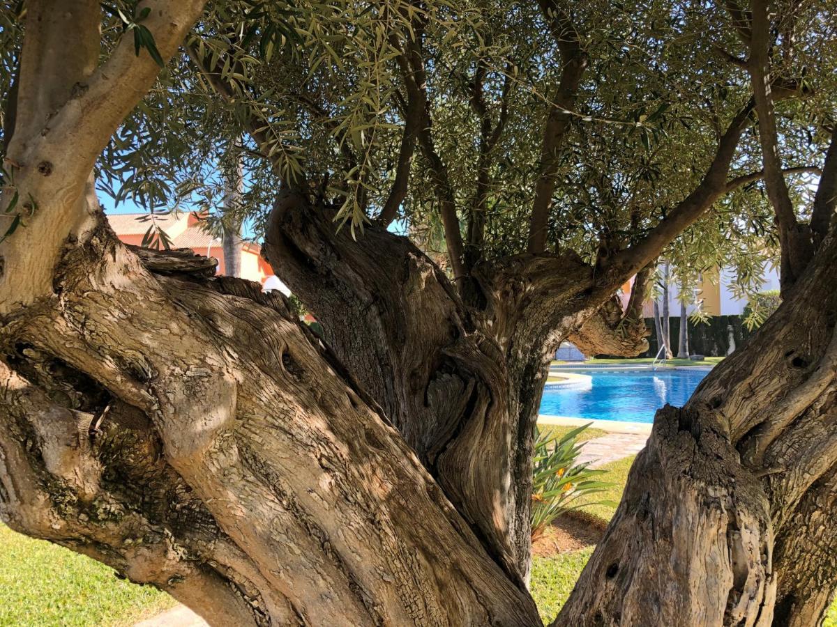 Hort 1-serviden Dénia