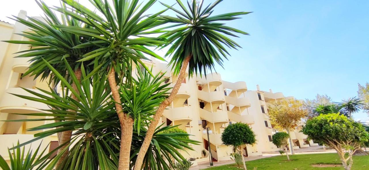 Apartamento Apartamento La Felicidad By Costa *