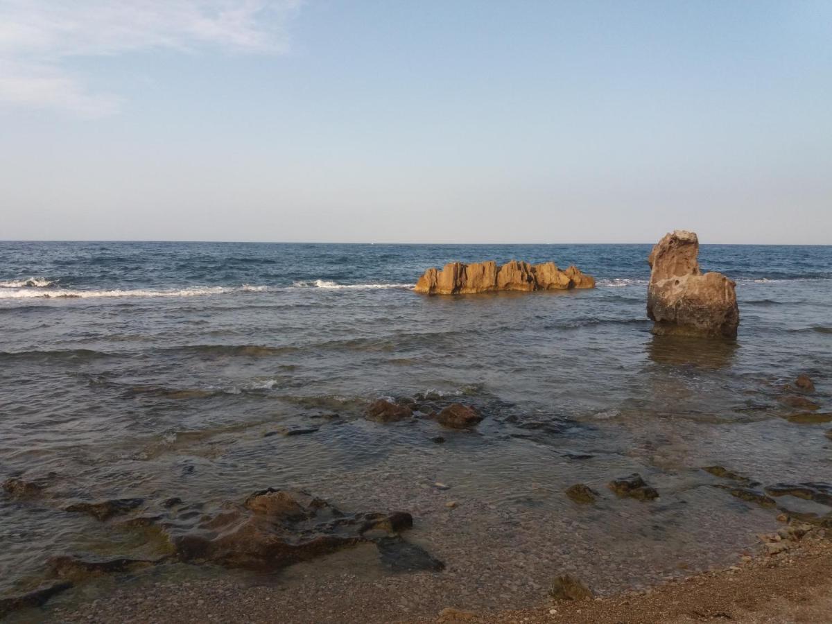 Vinas * Dénia