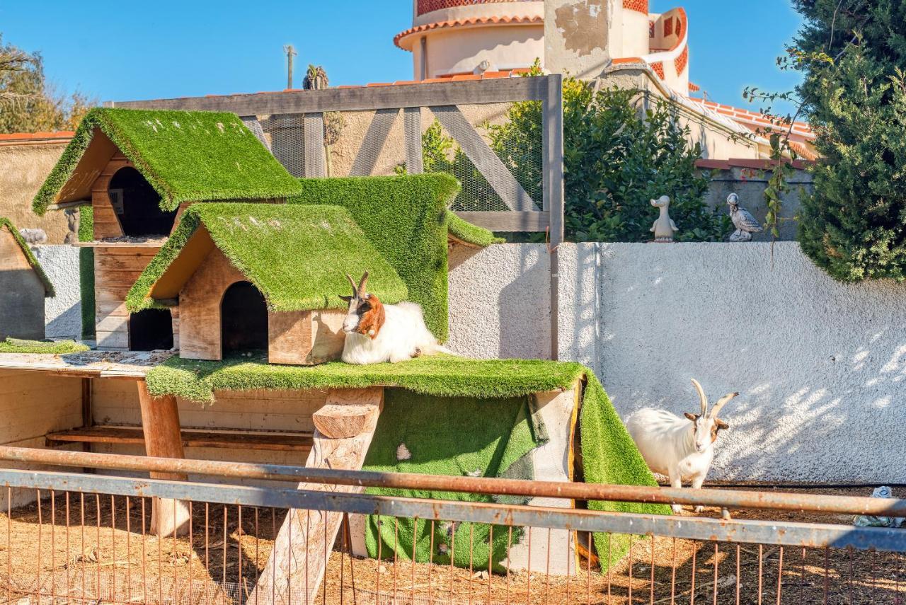 Kuko Apartamento Dénia