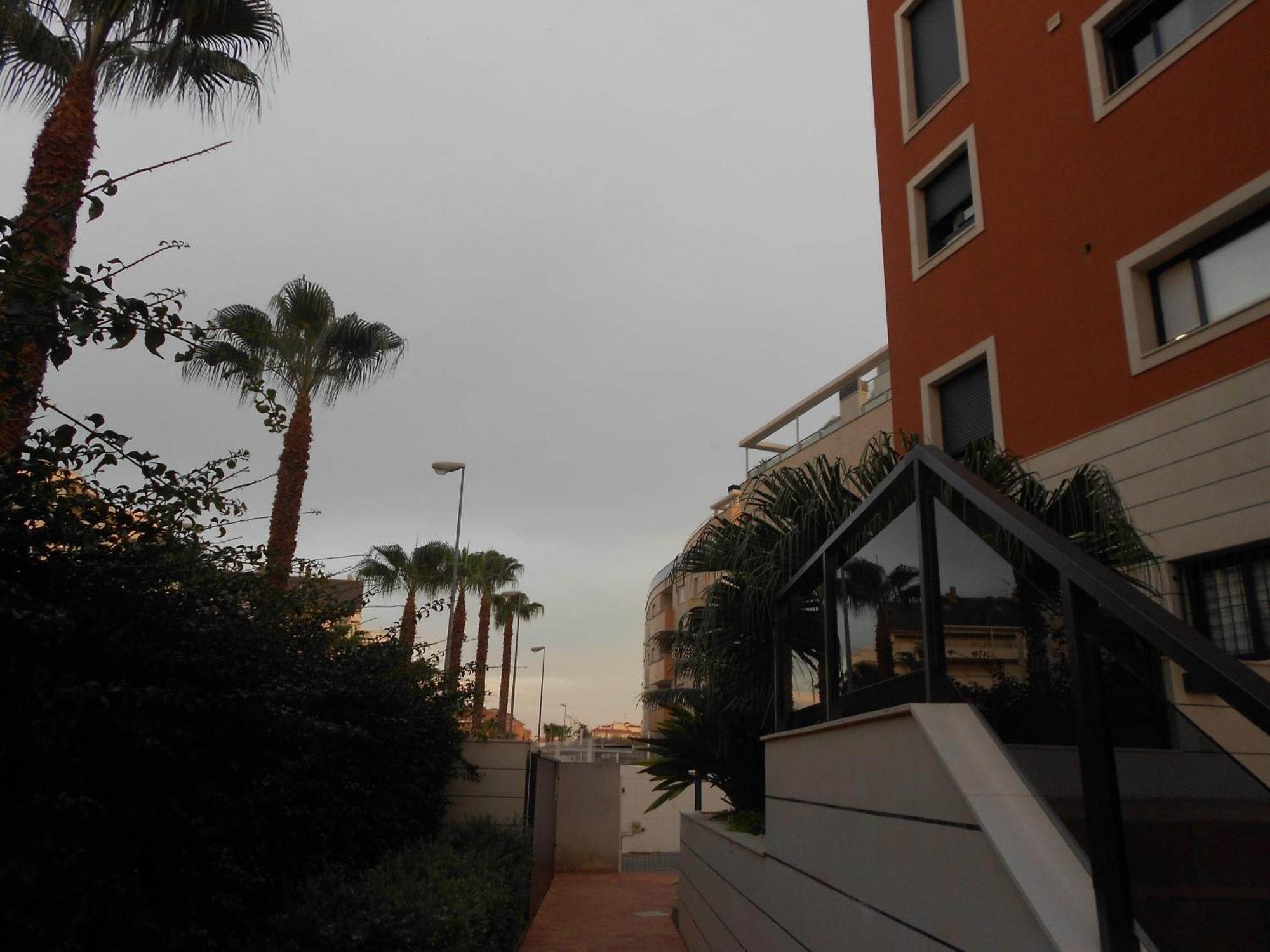 Jardinas De Les Marinas *